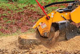 How Our Tree Care Process Works  in  Erwin, TN